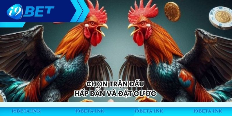 Chọn trận đấu hấp dẫn và đặt cược